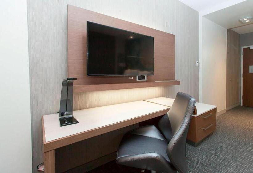 Номер Стандарт Кровать Кинг Адаптированный для Инвалидов, Courtyard By Marriott Houston City Place