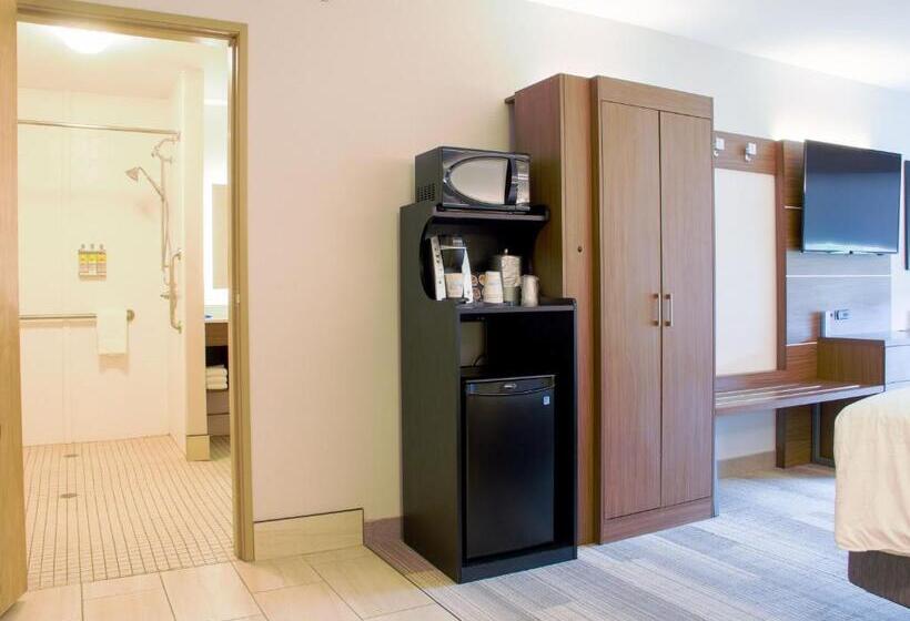 Номер Стандарт Адаптированный для Инвалидов, Holiday Inn Express & Suites Danville, An Ihg