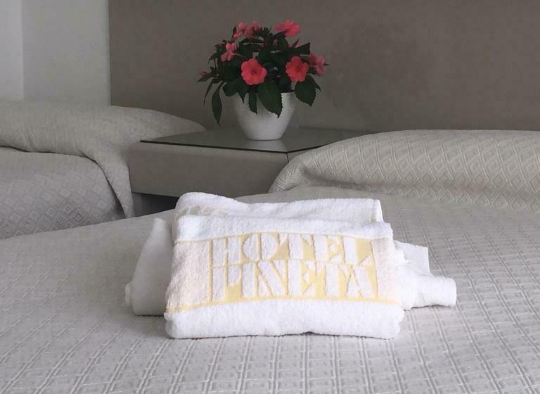 Номер Стандарт Трехместный, Pineta