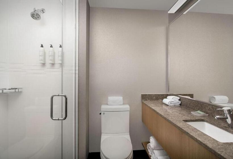 مجموعه ویستا شهر, Springhill Suites By Marriott New York Queens