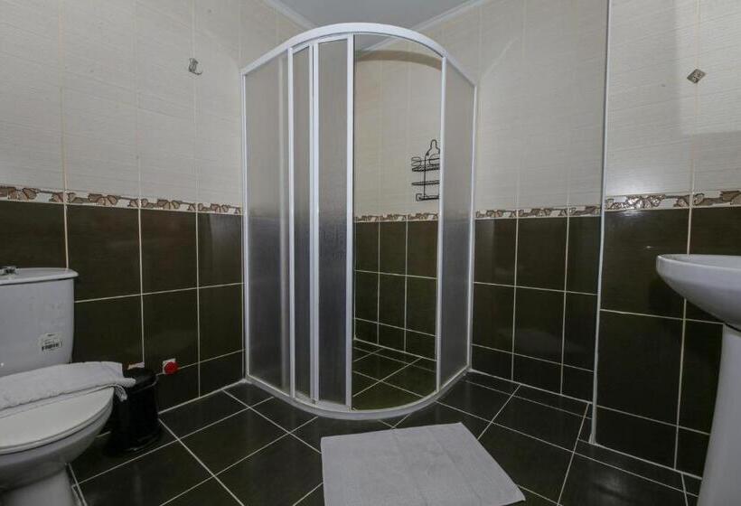 Люкс Superior, Melodi Butik Otel