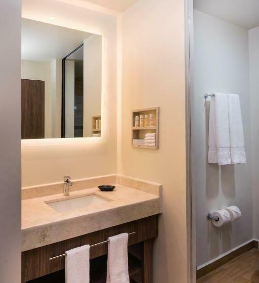 장애인을 위한 킹사이즈 침대 스탠다드 룸, Hampton Inn & Suites By Hilton Salamanca Bajio