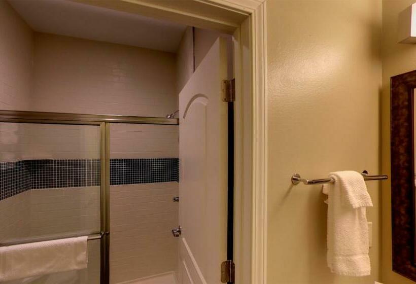 스탠다드 스튜디오, Staybridge Suites Ann Arbor   Research Parkway, An Ihg