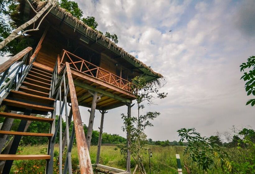 Дом 1 Спальня, The Hideout Sigiriya