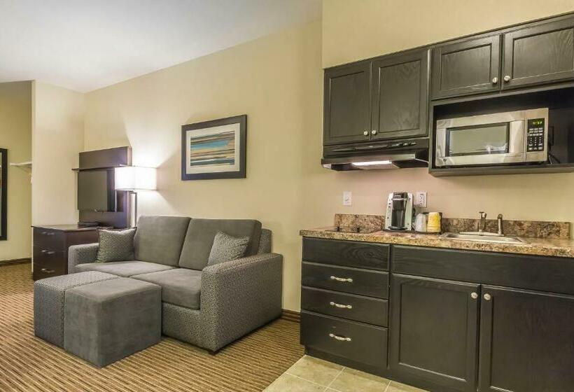 Люкс, Quality Inn & Suites