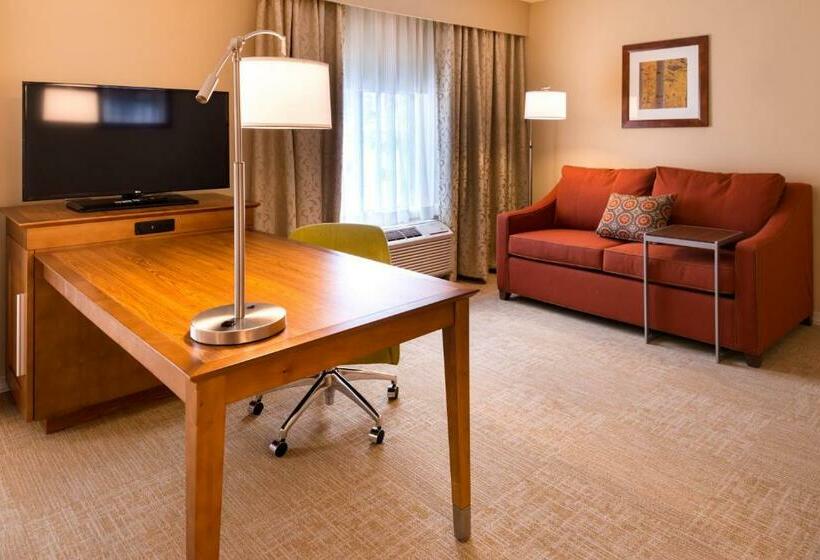 استودیو استاندارد با تخت کینگ, Hampton Inn & Suites Silverthorne