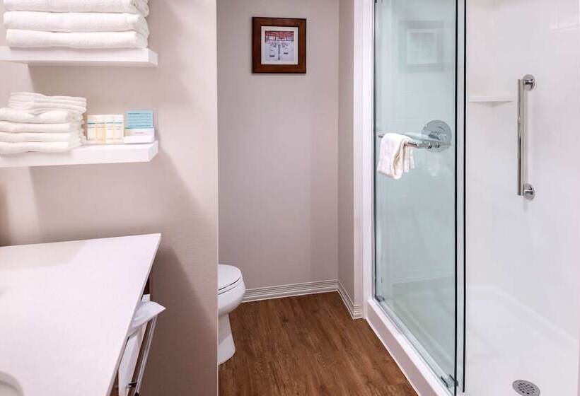 استودیوی استاندارد با تخت دوبل, Hampton Inn & Suites Silverthorne
