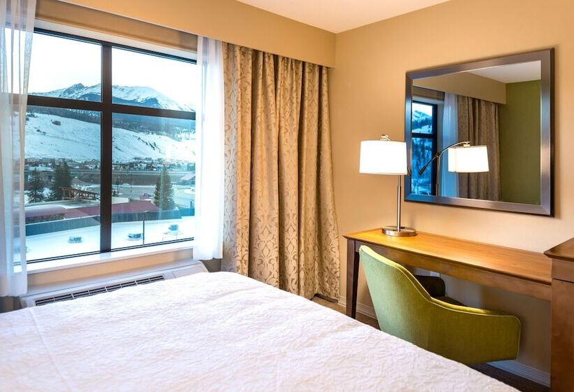 استودیوی استاندارد با تخت دوبل, Hampton Inn & Suites Silverthorne