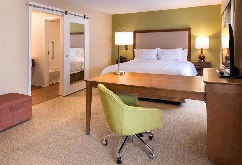 استودیوی استاندارد با تخت دوبل, Hampton Inn & Suites Silverthorne