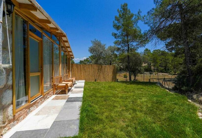 Студия Стандарт, Casa De Sherys