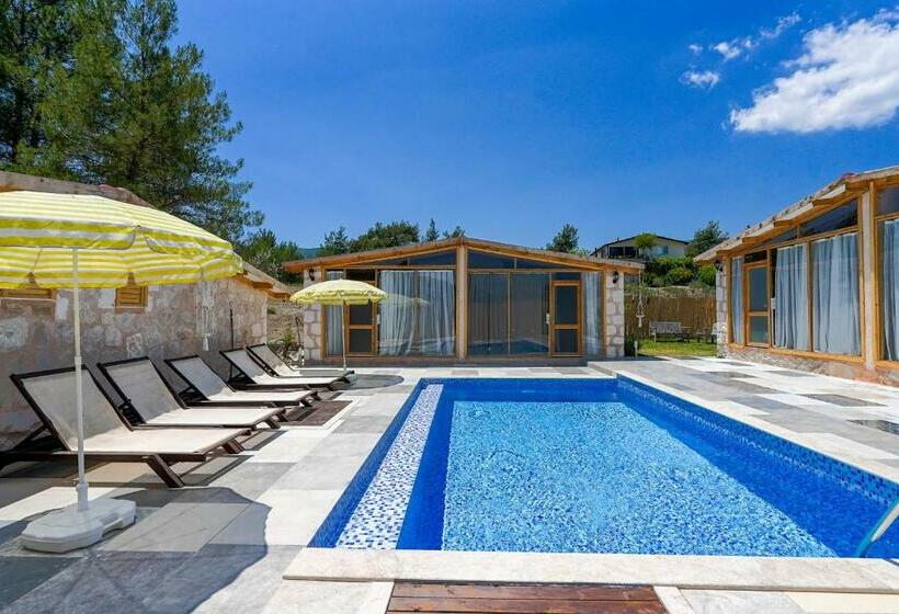 Студия Стандарт, Casa De Sherys