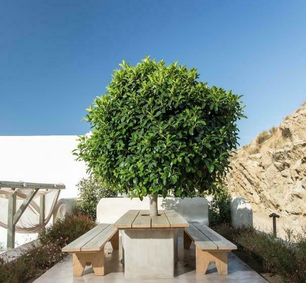 Вилла 1 Спальня, Halcyon Suites And Villas Naxos