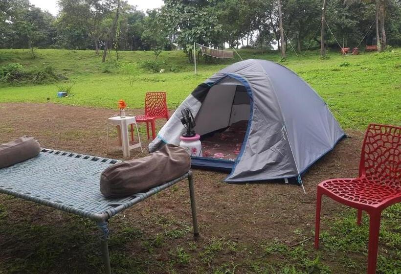 Standard Tent, The Farm Retreat