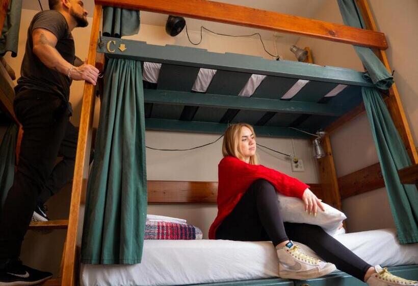 标准间带双层床, Green Tortoise Hostel Seattle