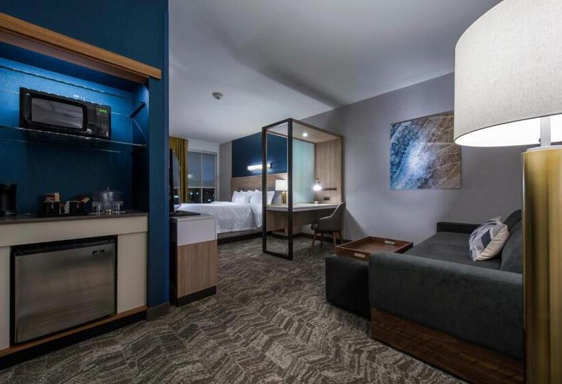 Люкс Вид на Горы, Springhill Suites By Marriott Gallup