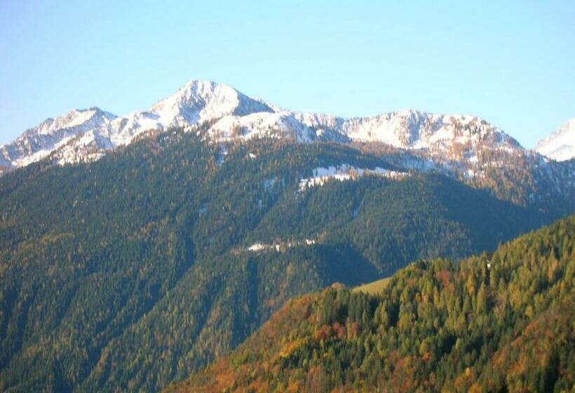 스탠다드 싱글 룸, Villa Fosine