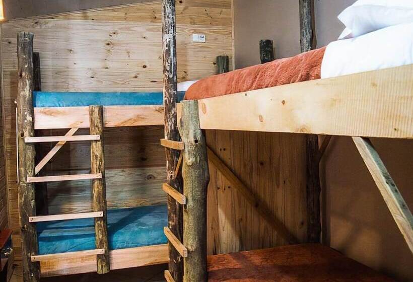 스탠다드 룸, Hostel Cape Town   Cambará Do Sul