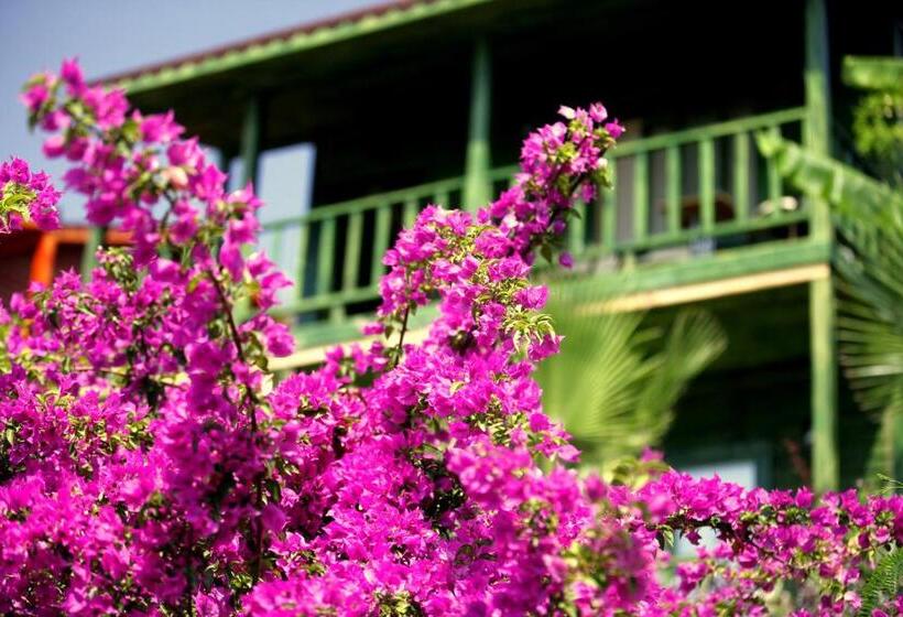 Бунгало Стандарт 2 Спальни, Olbios Marina Resort