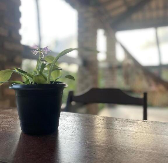 סוויטה נוף לים, Hostel Do Ceu