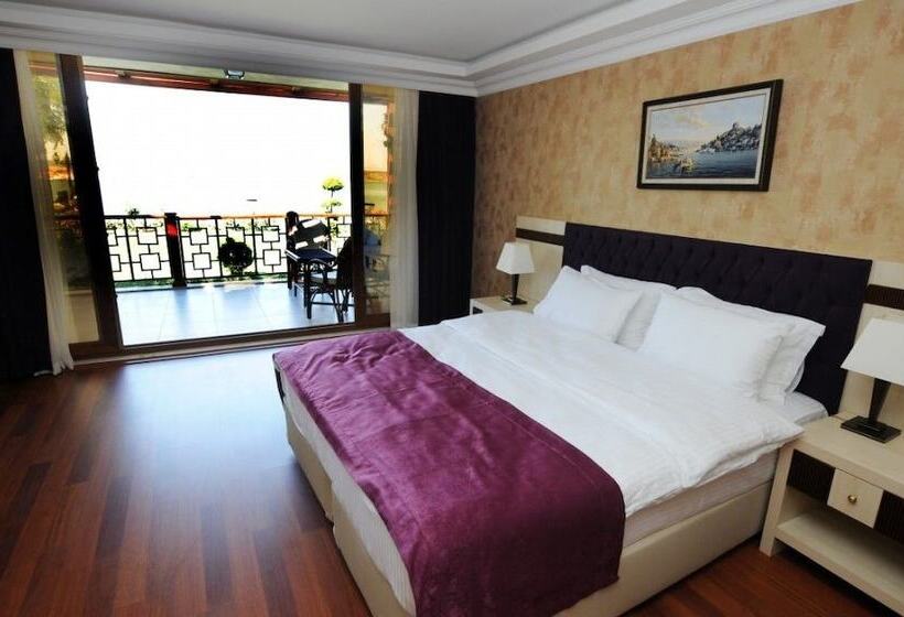 带海景的复工套房, Phellos Suites