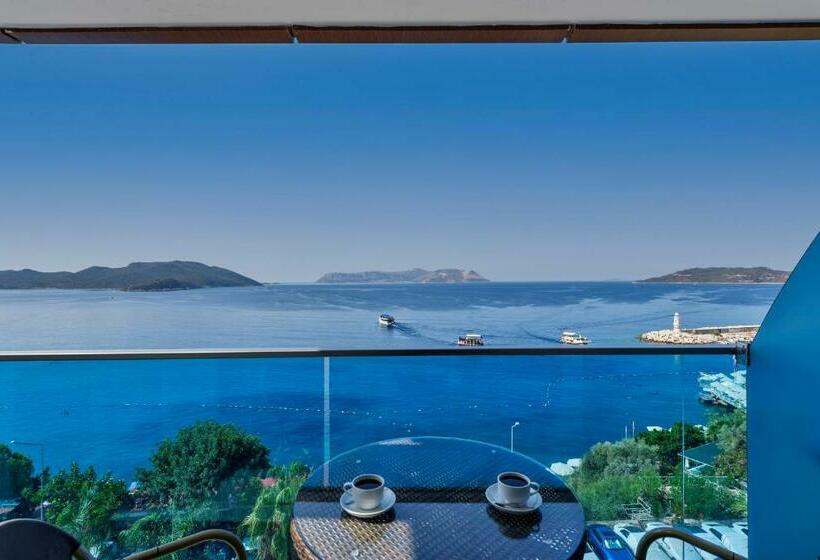 Номер Deluxe Вид на Море с Балконом, Sea View