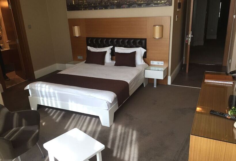 اتاق لوکس, City Hotel Plovdiv