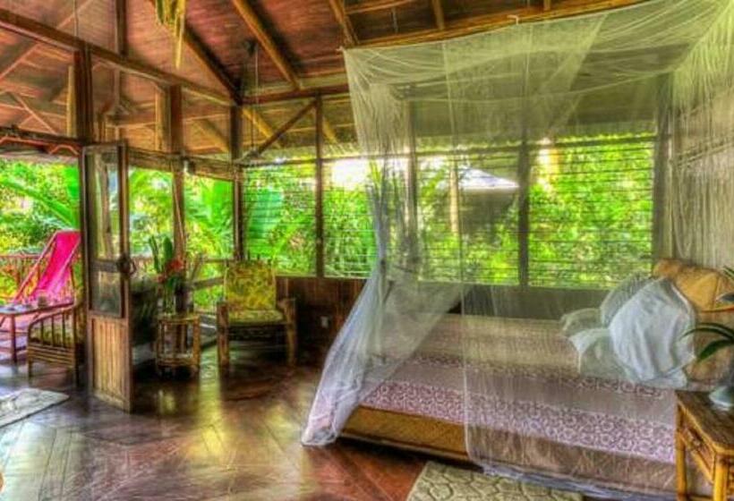 Полулюкс Повышенной Комфортности, Iguana Lodge Beach Resort
