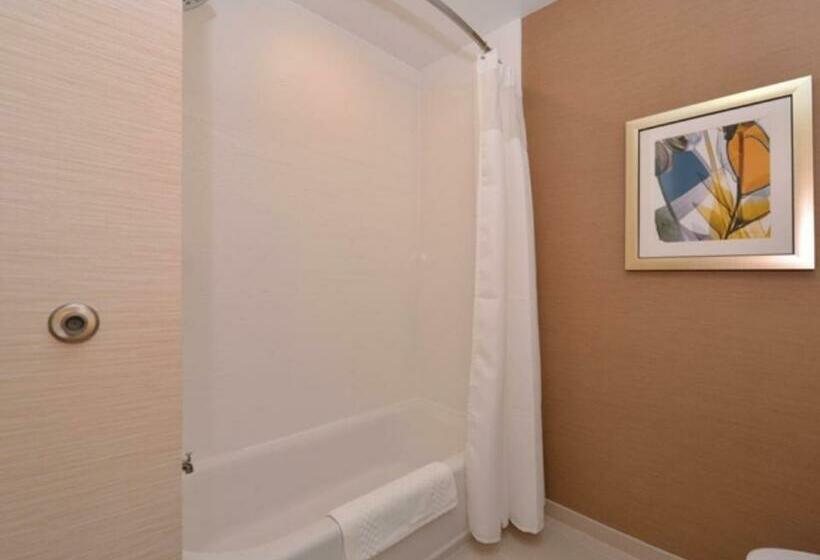 Номер Стандарт, Fairfield Inn & Suites By Marriott Fremont