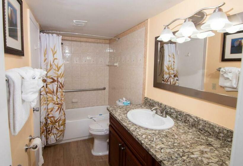 침실 1개 아파트, Palm Beach Waterfront Suites