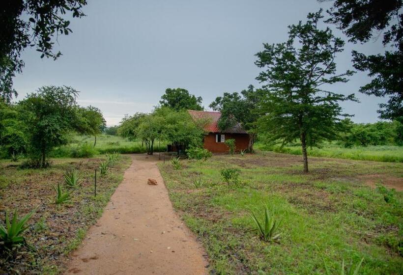 Номер Стандарт Вид на Сад, Animal View Point Yala