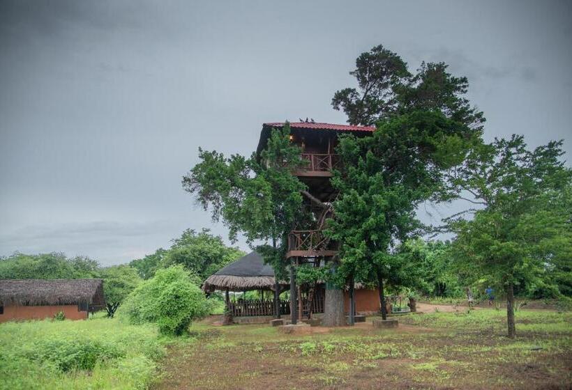 Номер Стандарт с Балконом, Animal View Point Yala