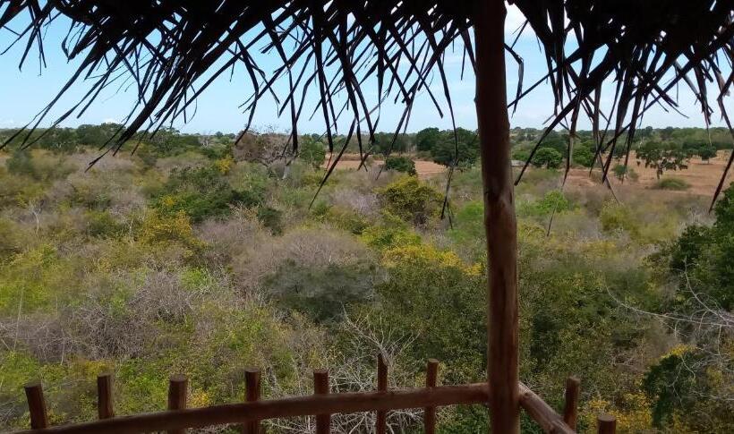 带山景的高级间, Mamba Yala