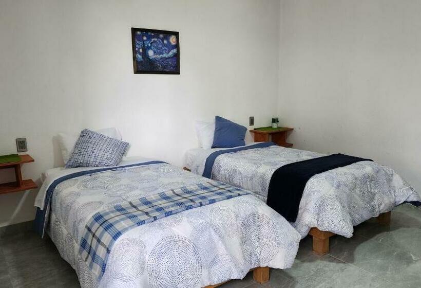 スタンダードルーム, La Palma Coliving