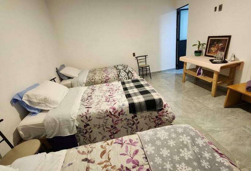 スタンダードトリプルルーム, La Palma Coliving