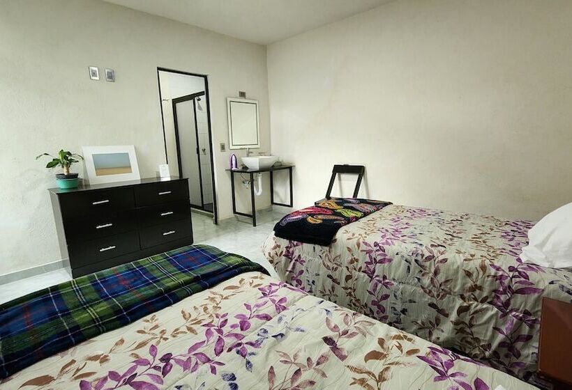 スタンダードルーム, La Palma Coliving
