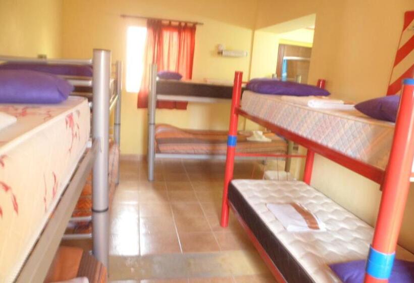 سرير فى غرفة مشتركه, Milenarios Hostel
