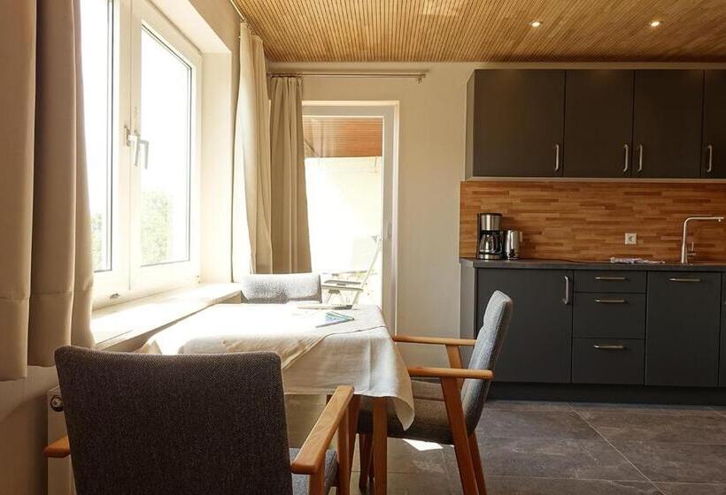 Студио Стандарт с Балконом, Gästehaus Hornstein