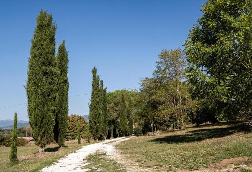 آپارتمان سوپریور 1 خوابه, Roccia