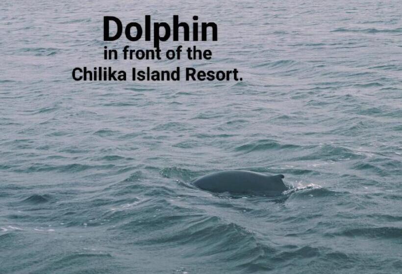 豪华房间, The Chilika Island Resort