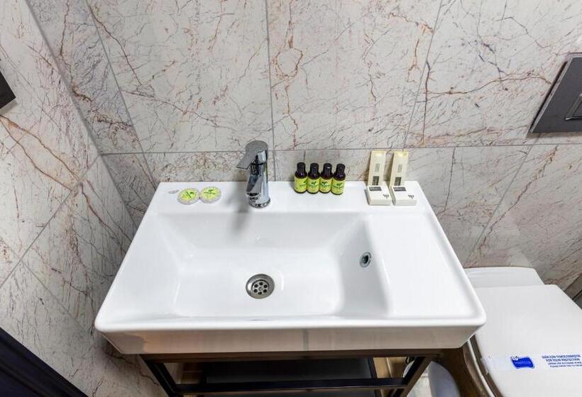 Номер Deluxe Одноместный, Lenora Airport Hotel & İstanbul Airport
