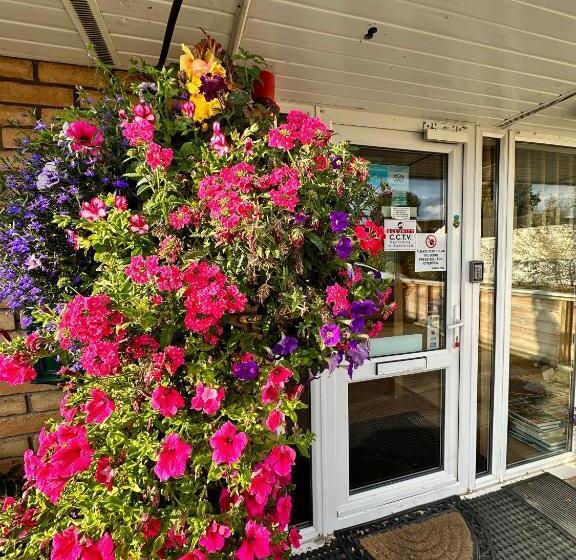 Номер Economy Индивидуальный, Malahide Guest Rooms