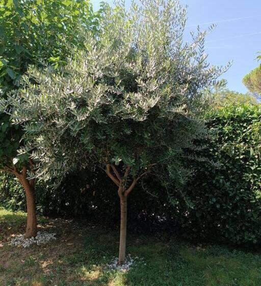 اتاق استاندارد, B&b Il Tulipano