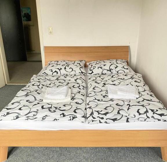 Апартаменты 3 Спальни, Apartment Nähe Linz