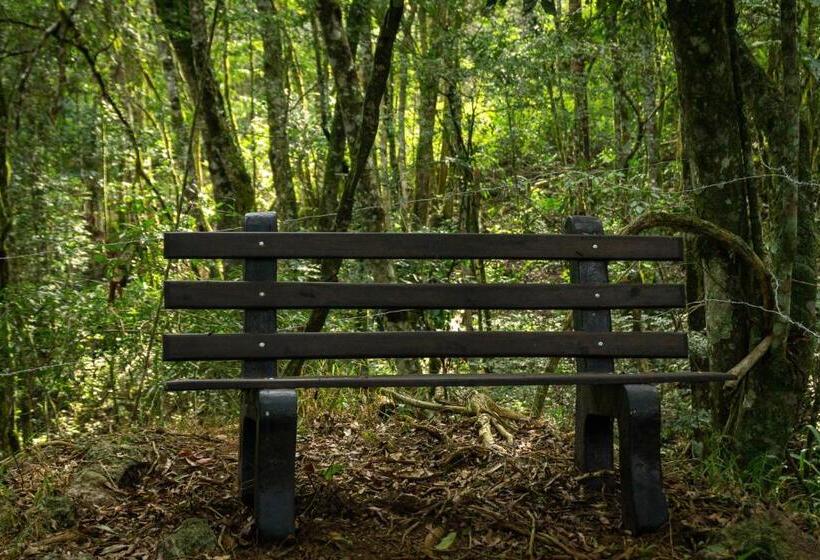 샬레, Chale Em Curitiba   Chales Portugal