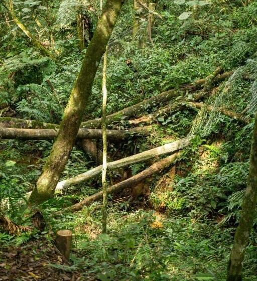 1 베드룸 수피리어 스위트, Chale Em Curitiba   Chales Portugal