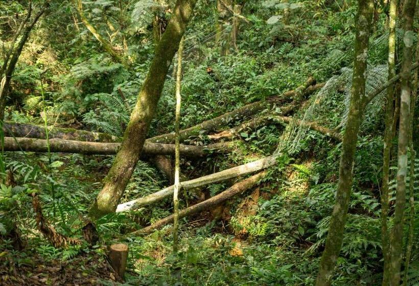 1 베드룸 수피리어 스위트, Chale Em Curitiba   Chales Portugal
