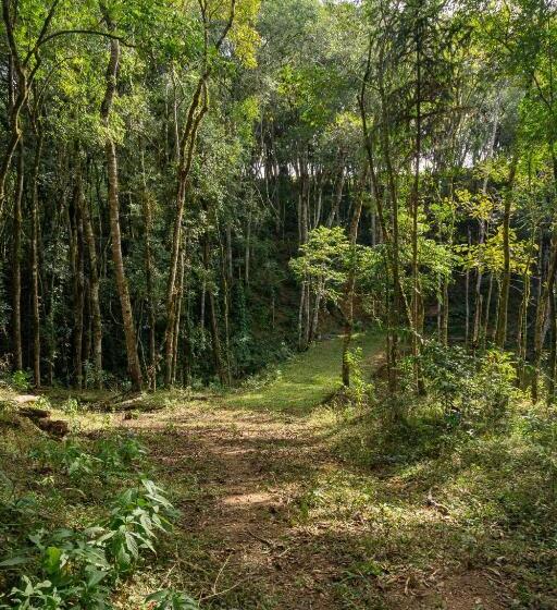 1 베드룸 수피리어 스위트, Chale Em Curitiba   Chales Portugal