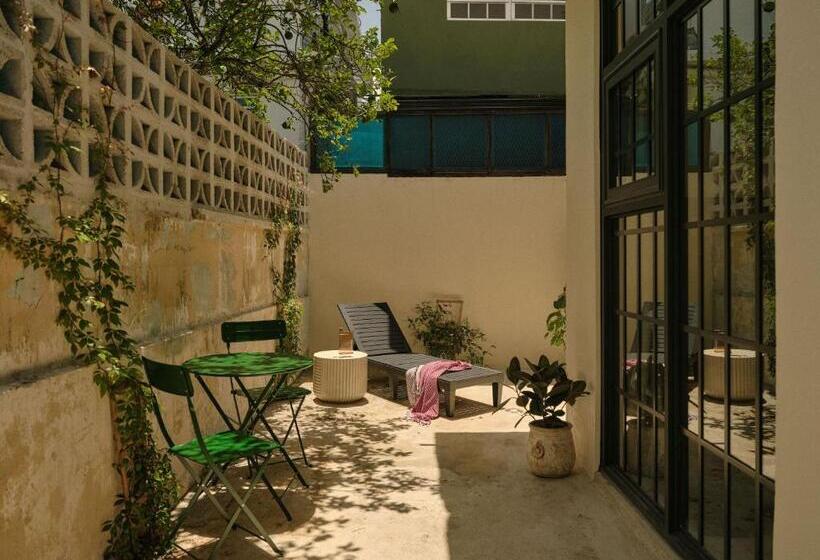 استودیوی لوکس, Paz By Dw