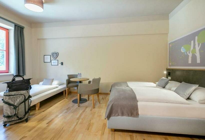 Апартаменты 1 Спальня, Jufa Hotel Mariazell