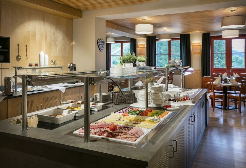 스탠다드 싱글 룸, Jufa Hotel Mariazell